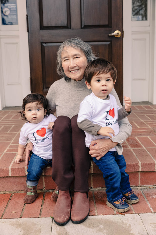 Vietnamese Family Terms: A Guide for Vietnamese American Families